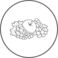 FRUIT OF THE LOOM
